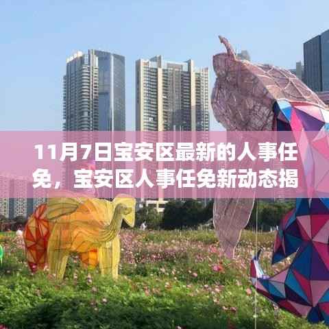 宝安区人事任免新动态揭秘,探索人事变革与小巷深处的独特小店