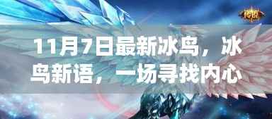 冰鸟新语,寻找内心平静的奇妙之旅启动!