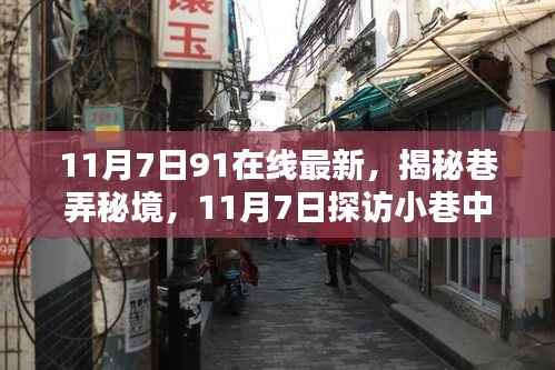 11月7日91在线最新,揭秘巷弄秘境,11月7日探访小巷中的隐藏宝藏——91在线最新特色小店