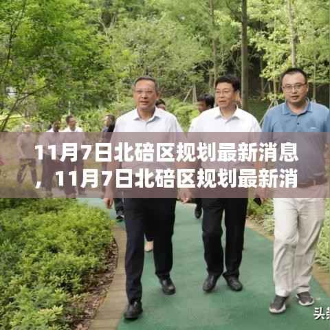 11月7日北碚区规划最新消息深度解析与观点阐述
