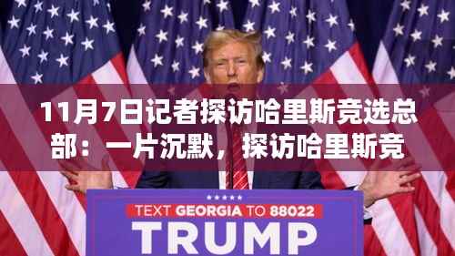 揭秘哈里斯竞选总部背后的沉默力量,沉默中的竞选指南(初学者进阶友好)