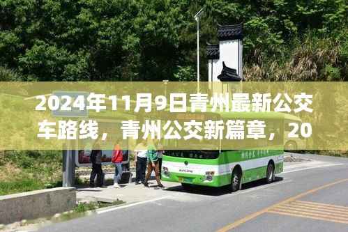 对答如流 第13页