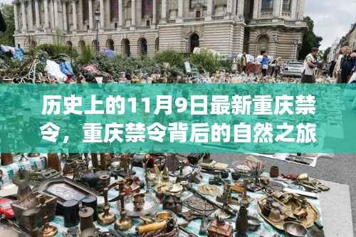 营销网络 第371页