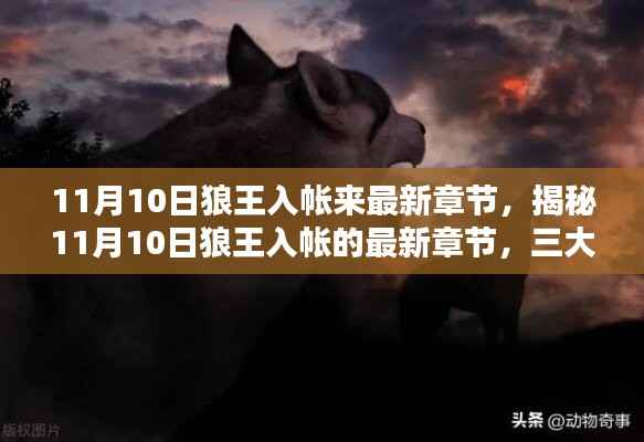 走马观花 第14页