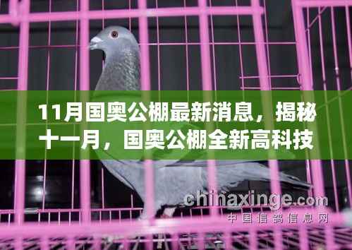 揭秘国奥公棚十一月全新高科技产品,引领智能生活新纪元