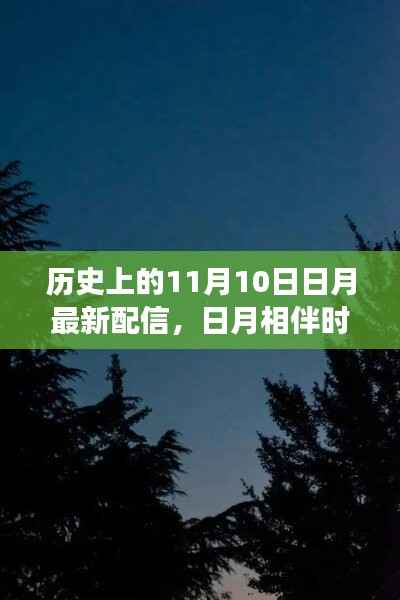 日月相伴时，温馨有趣的11月10日故事配信