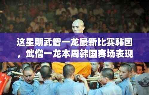 武僧一龙韩国赛场表现大解析,特性、体验、竞品对比及用户群体深度探讨