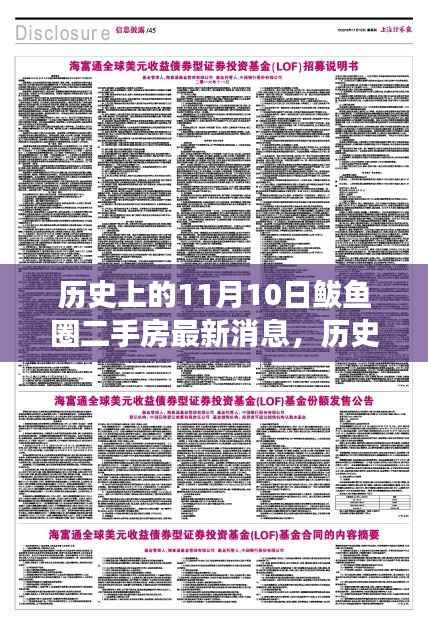 历史上的11月10日鲅鱼圈二手房市场动态解析及最新消息发布