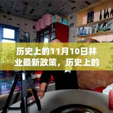 历史上的11月10日林业最新政策深度解读与评测报告
