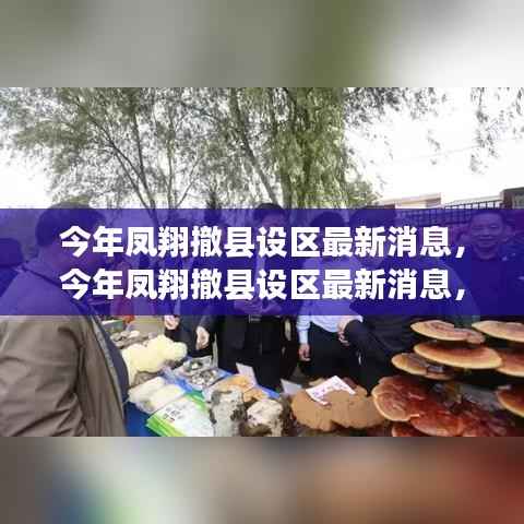 星星打烊 第15页