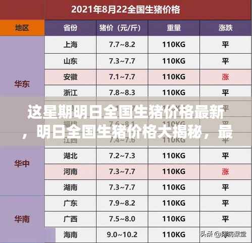 九死一生 第14页