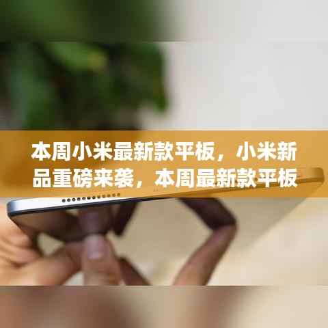 营销网络 第360页