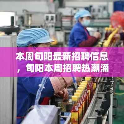 旬阳本周招聘热潮，新机遇引领就业风向，最新招聘信息一览无余