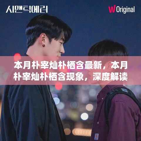 深度解读与观点阐述,朴宰灿朴栖含现象本月最新动态