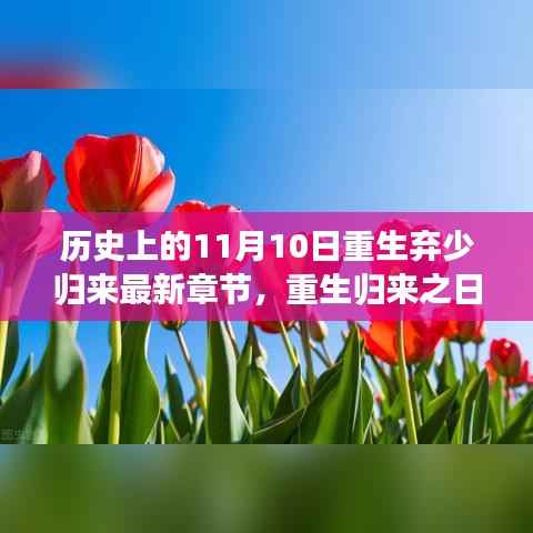 重生归来日,治愈之旅探寻自然美景的重生弃少归来最新章节(标题)