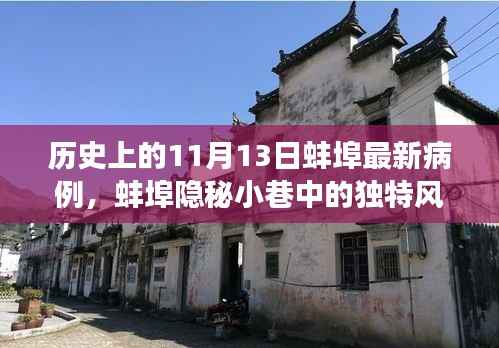 蚌埠隐秘小巷的独特风味与最新病例背后的故事,历史视角下的11月13日纪实
