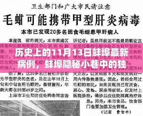 蚌埠隐秘小巷的独特风味与最新病例背后的故事,历史视角下的11月13日纪实