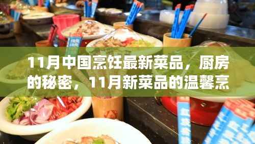 11月新菜品探秘,厨房的秘密与烹饪之旅的温馨体验
