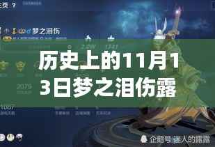 11月13日梦之泪伤露娜最新出装与进化,科技引领新纪元重塑生活