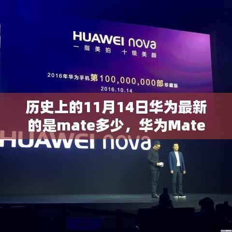 花开无言 第11页