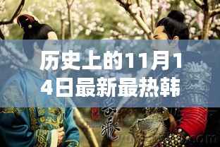 历史上的11月14日,最新热门韩剧概览与深度解析