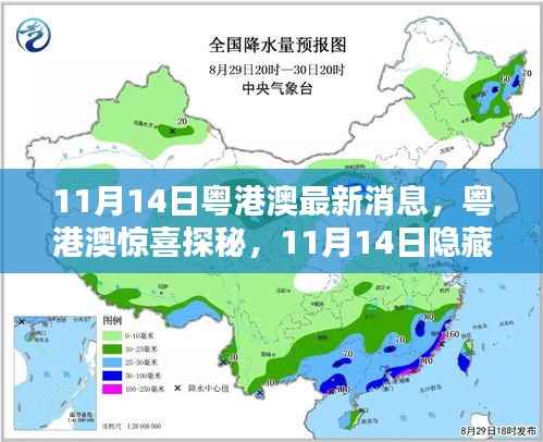 粤港澳惊喜探秘,11月14日隐藏小巷的特色风情小店揭秘