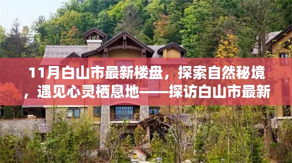 探索自然秘境,启程宁静之旅,白山市最新楼盘探访指南