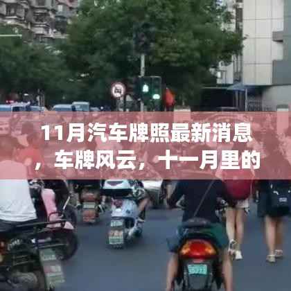 11月汽车牌照风云,最新消息与温情故事