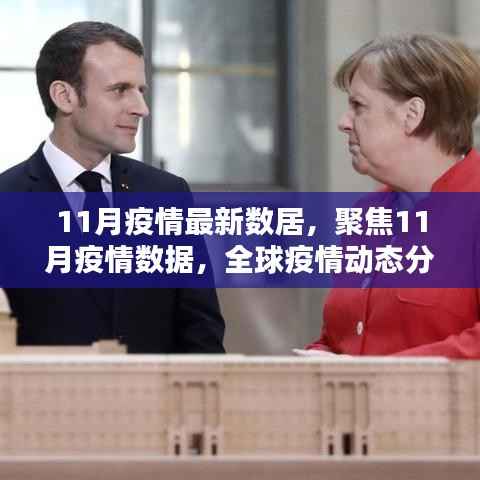 全球疫情动态分析,聚焦最新数据与应对策略(11月版)