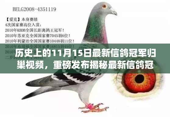 虎视眈眈 第10页