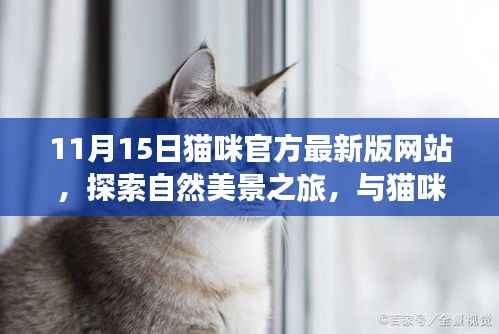 11月15日猫咪乐园官网新版上线,与猫咪共探梦幻自然美景,寻找内心宁静