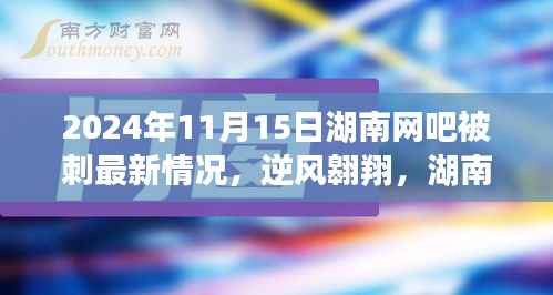 湖南网吧变迁下的励志故事,逆风翱翔开启智慧新篇章的最新进展(2024年11月15日)