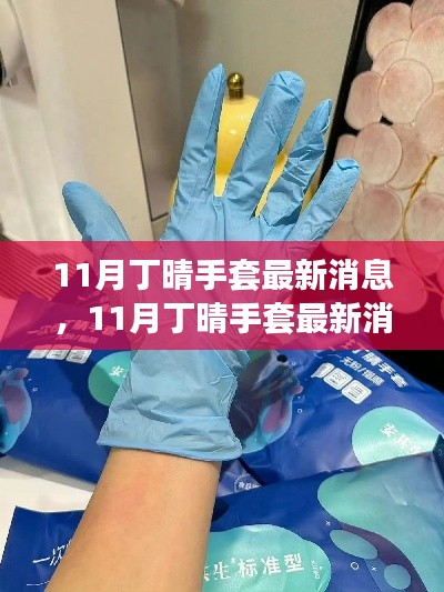 11月丁晴手套最新消息解析,选购与使用指南