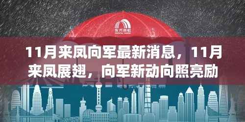 11月来凤向军新动态，展翅高飞，照亮励志之路