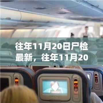 往年11月20日尸检最新进展深度分析与观点阐述