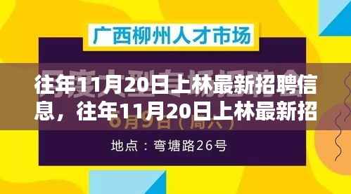 往年11月20日上林最新招聘信息详解与全面评测介绍