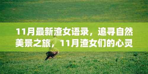 11月最新渣女语录，追寻自然美景之旅，11月渣女们的心灵出走语录