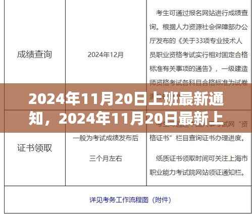 2024年11月20日最新上班通知,工作调整与准备事项详解
