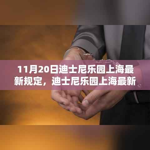 迪士尼乐园上海最新规定详解,顺利入园体验指南