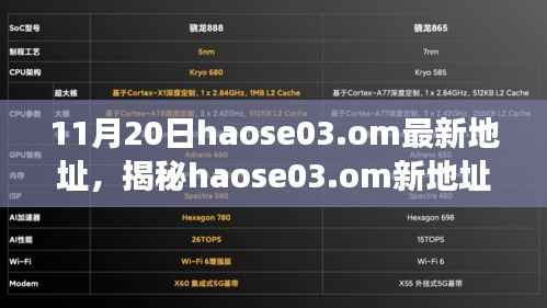 揭秘haose03.om新地址背后的故事，影响与地位回顾，最新地址揭晓（11月20日）