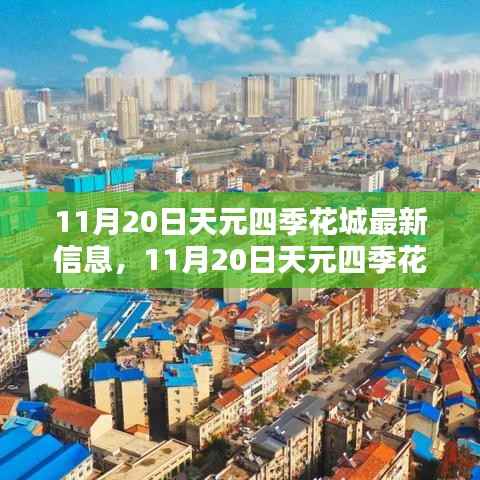 11月20日天元四季花城最新信息,11月20日天元四季花城揭秘,最新动态与信息速递