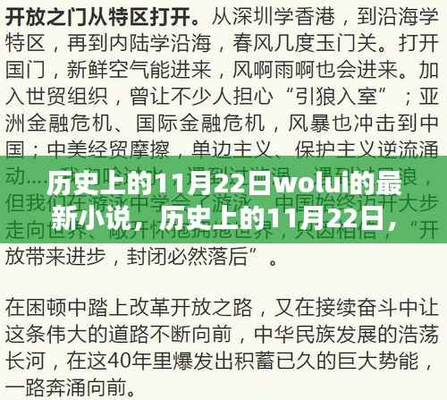 历史上的11月22日wolui的最新小说,历史上的11月22日,wolui最新小说背后的故事