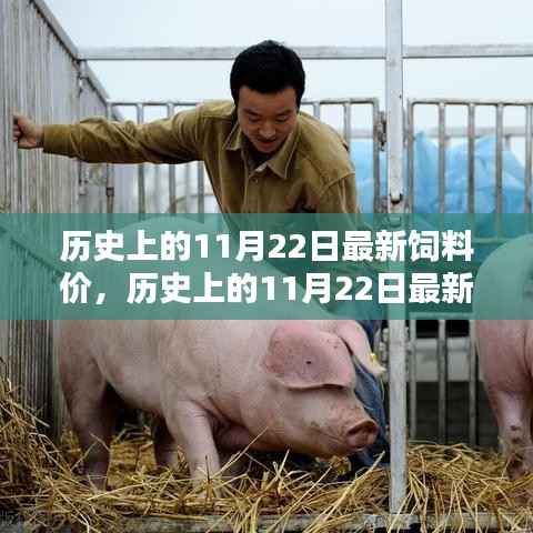 历史上的11月22日最新饲料价,历史上的11月22日最新饲料价,特性、体验、对比与评估