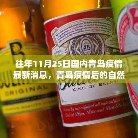 精品展示 第309页