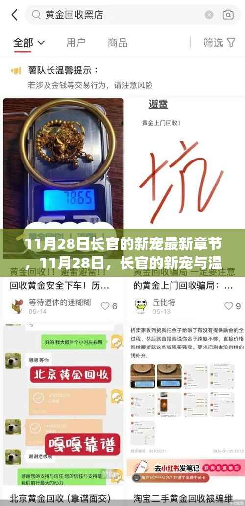 长官的新宠与温馨日常最新章节 11月28日