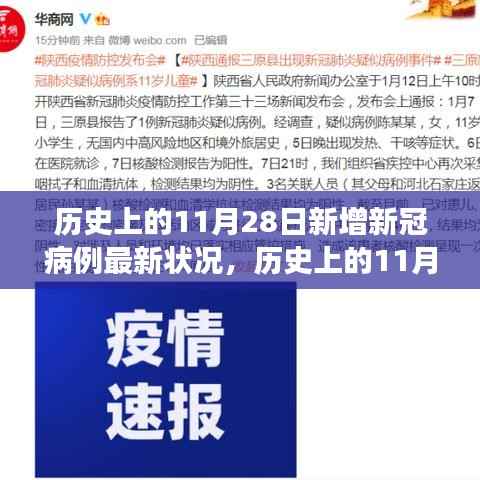 全球视角下的深度洞察,历史上的11月28日新增新冠病例最新状况报告分析