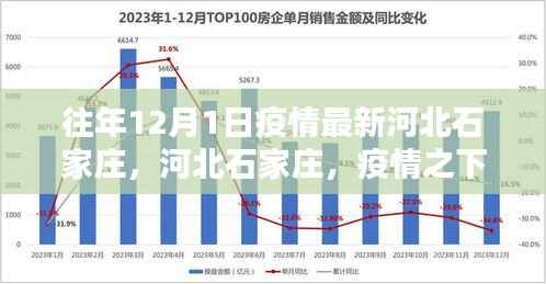 河北石家庄疫情下的科技革新,智能产品引领生活革新