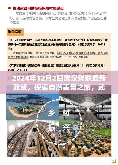 风驰电掣 第10页