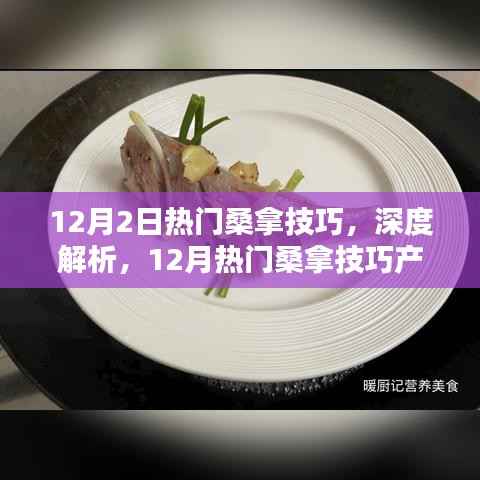 12月热门桑拿技巧详解与产品全面评测