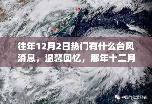 往年12月2日热门有什么台风消息,温馨回忆,那年十二月,台风中的暖心故事